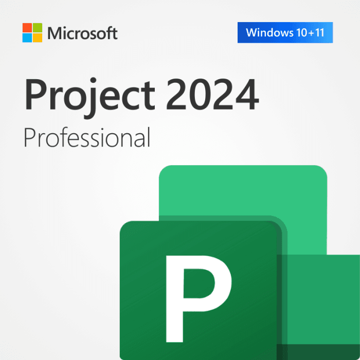 EP2-07000 Project Pro 2024 ESD